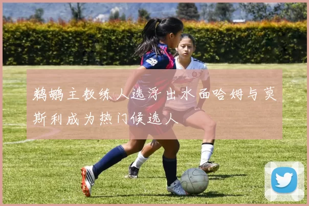 鹈鹕主教练人选浮出水面哈姆与莫斯利成为热门候选人