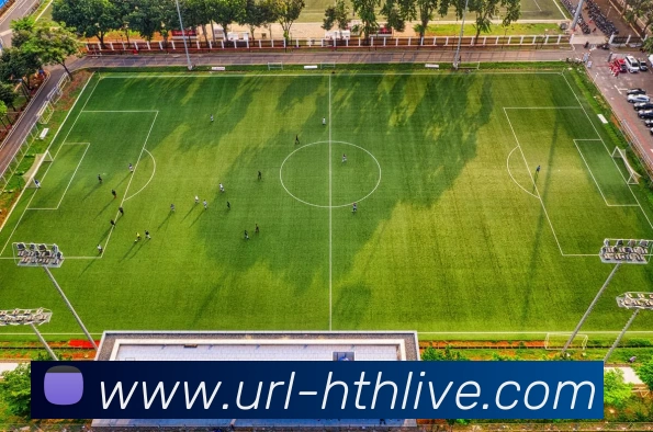 多媒体互动体验